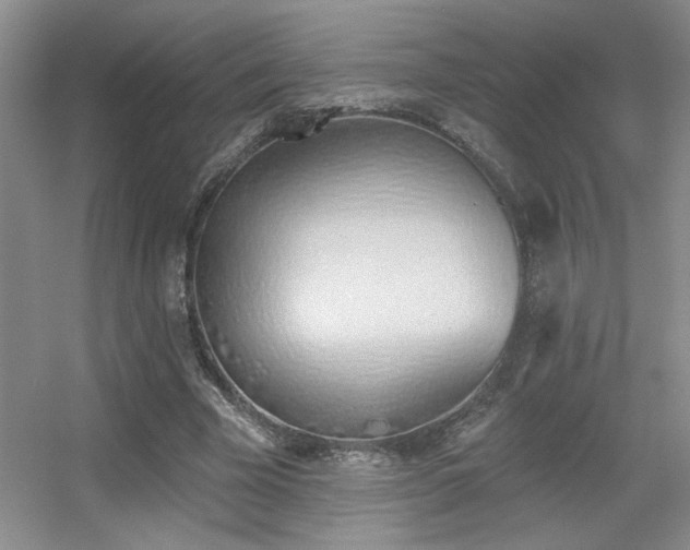 X0000056010585200508221457