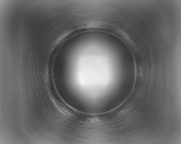 X0000056010588200508221456