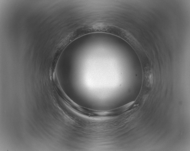 X0000056010593200508221456