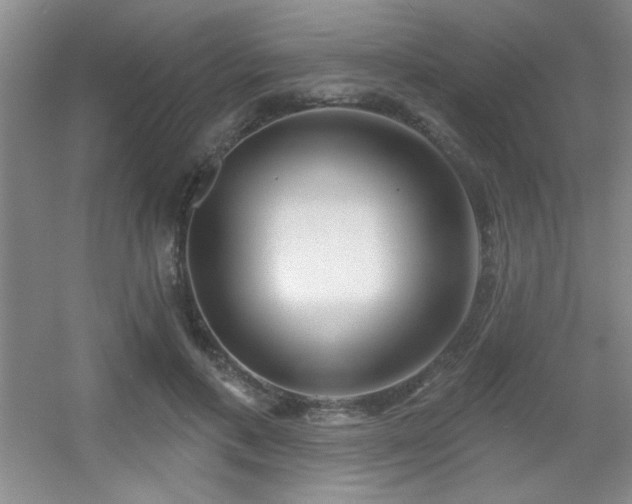 X0000056010597200508221456