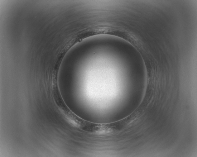 X0000056010601200508221456