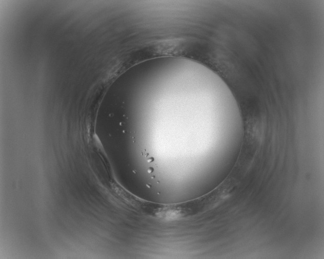 X0000056010602200508221456
