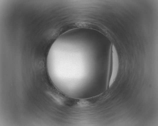 X0000056010603200508221456