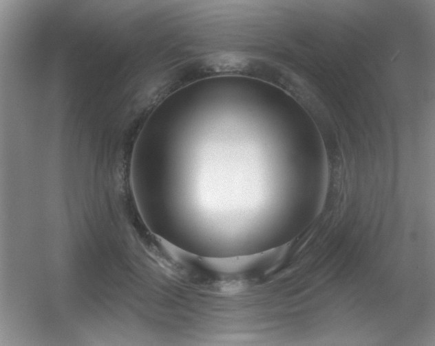 X0000056010604200508221456