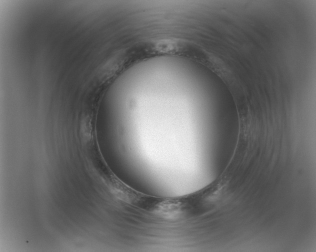X0000056010606200508221456