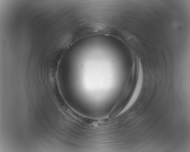 X0000056010607200508221456