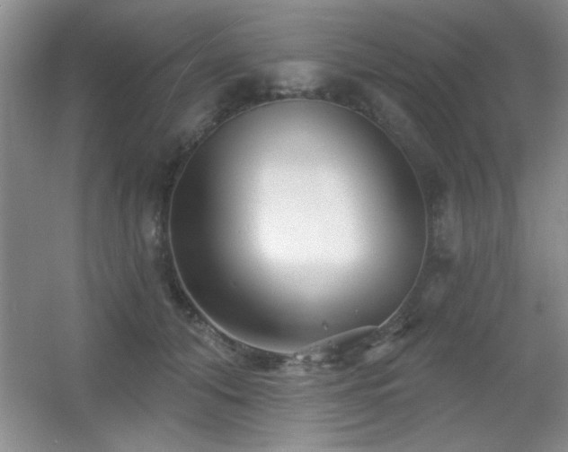 X0000056010608200508221456