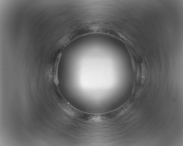 X0000056010611200508221456