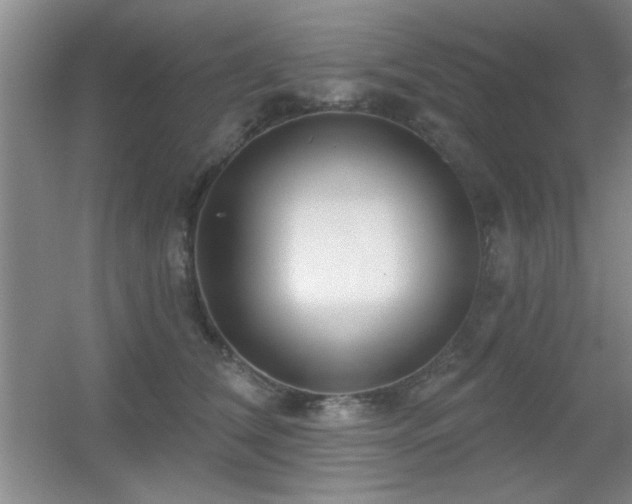 X0000056010612200508221456