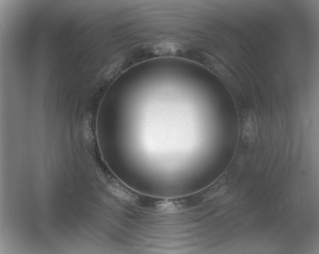 X0000056010616200508221456