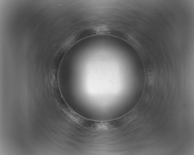 X0000056010618200508221456