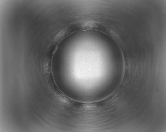 X0000056010619200508221456