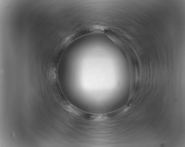 X0000056010621200508221456