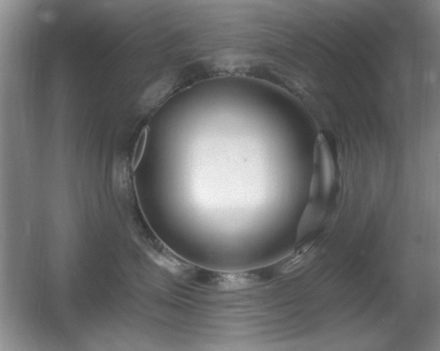 X0000056010623200508221456