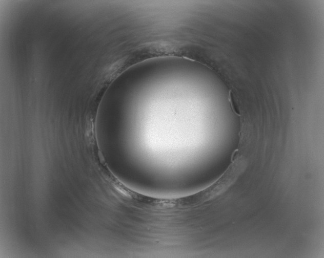 X0000056010624200508221456