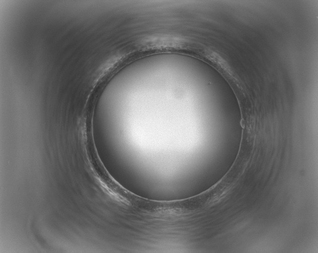 X0000056010629200508221455