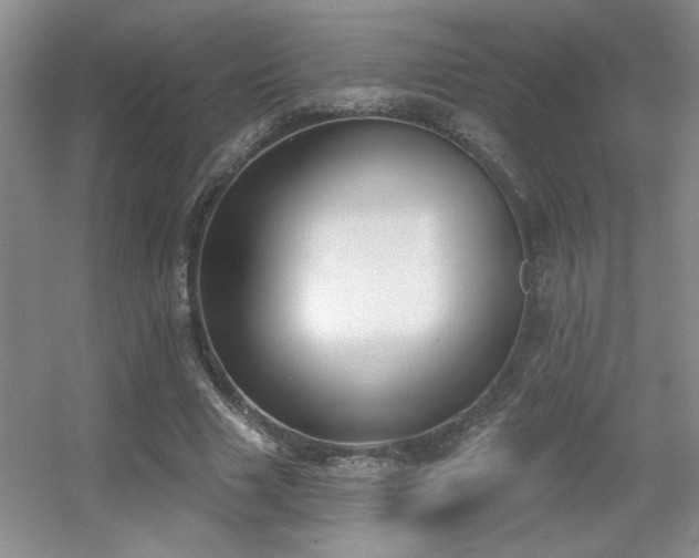 X0000056010633200508221455
