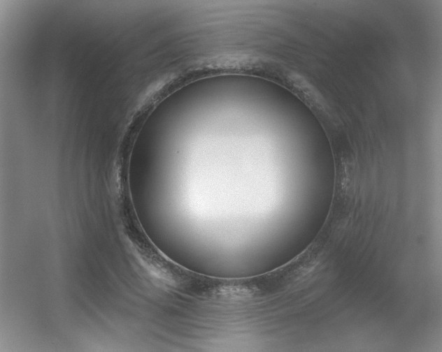 X0000056010636200508221455