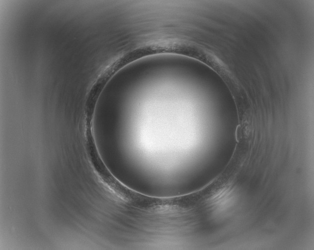 X0000056010637200508221455