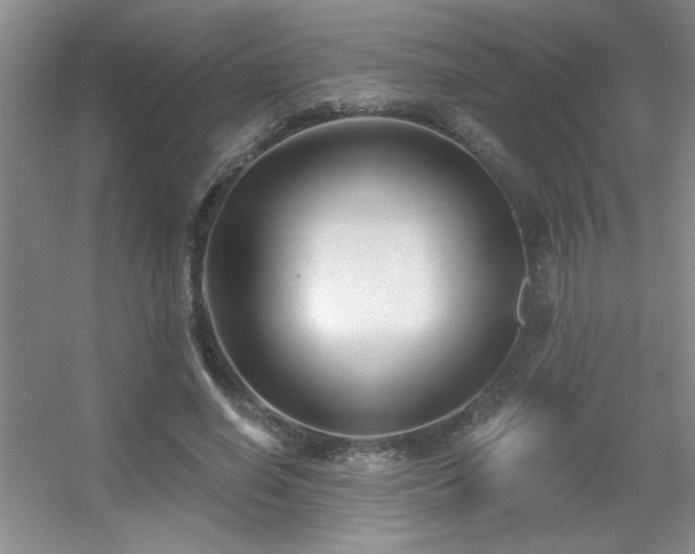 X0000056010638200508221455