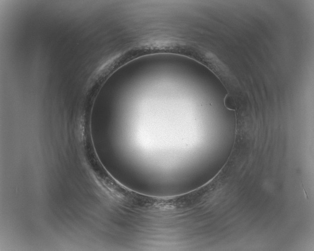 X0000056010640200508221455