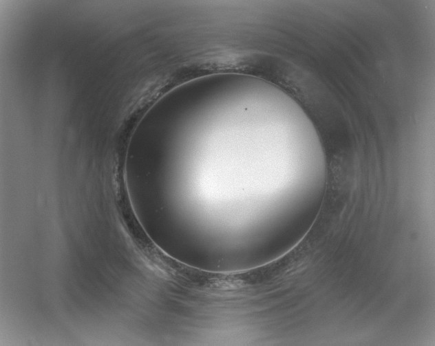 X0000056010642200508221455