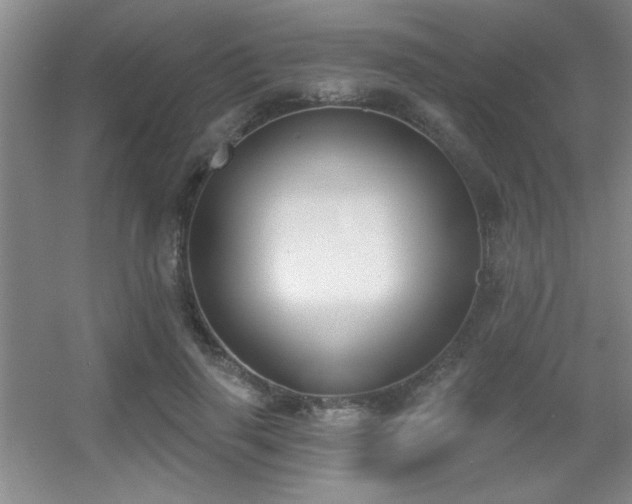 X0000056010645200508221455