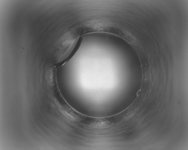 X0000056010646200508221455