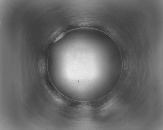 X0000056010648200508221455