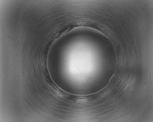 X0000056010653200508221456