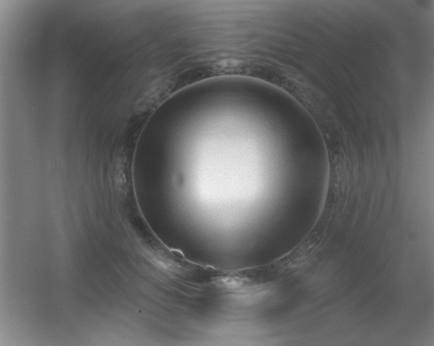 X0000056010654200508221456