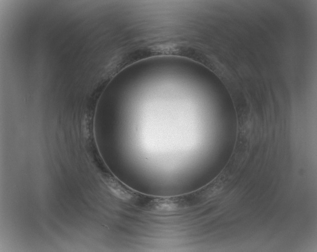 X0000056010658200508221456