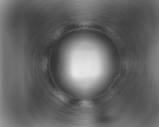 X0000056010660200508221456