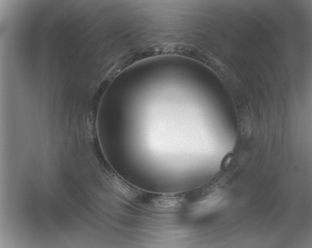 X0000056010661200508221456