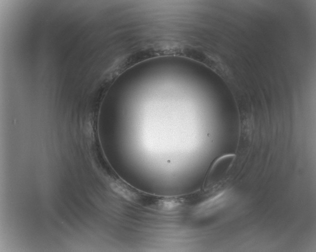 X0000056010662200508221456
