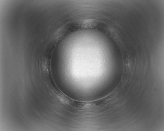X0000056010663200508221456
