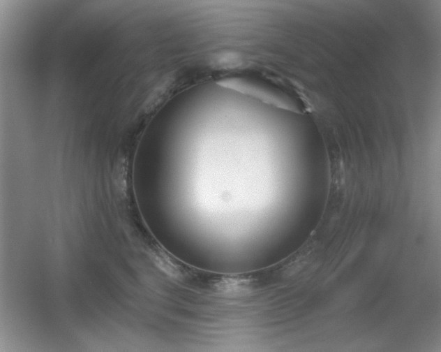 X0000056010664200508221456