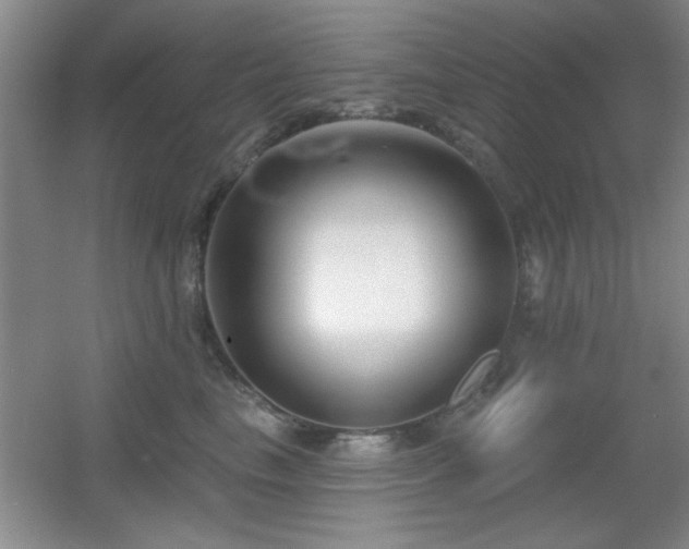 X0000056010665200508221456