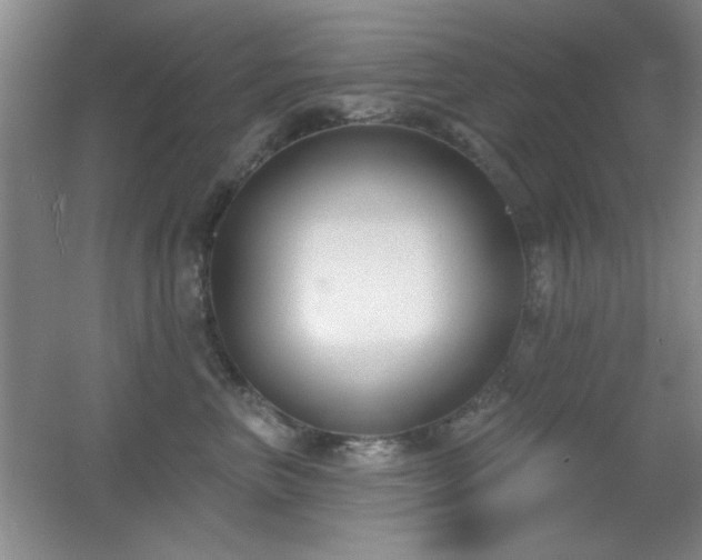 X0000056010667200508221456
