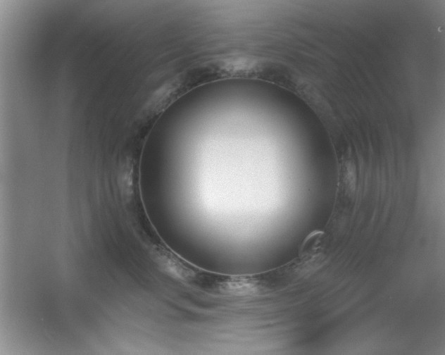X0000056010668200508221456