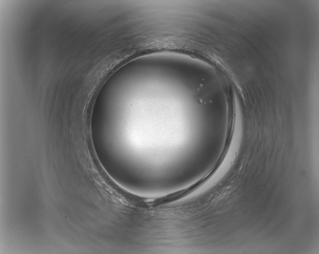 X0000056010673200508221455