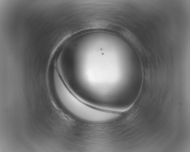 X0000056010676200508221455