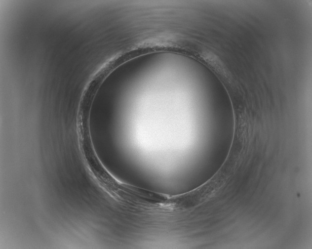 X0000056010680200508221455