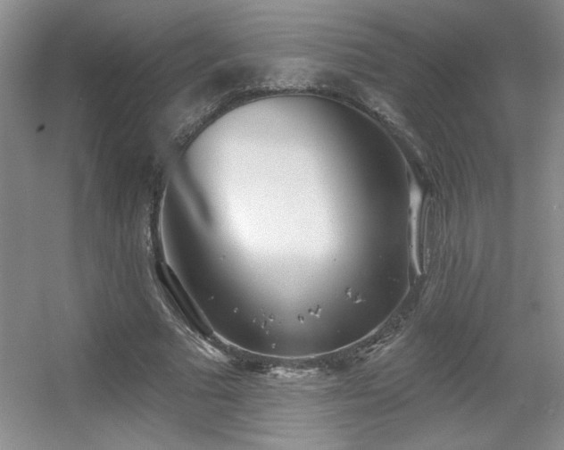 X0000056010681200508221455