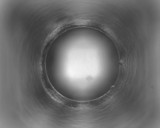 X0000056010682200508221455