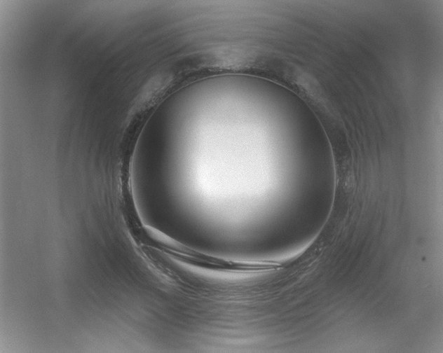 X0000056010685200508221455
