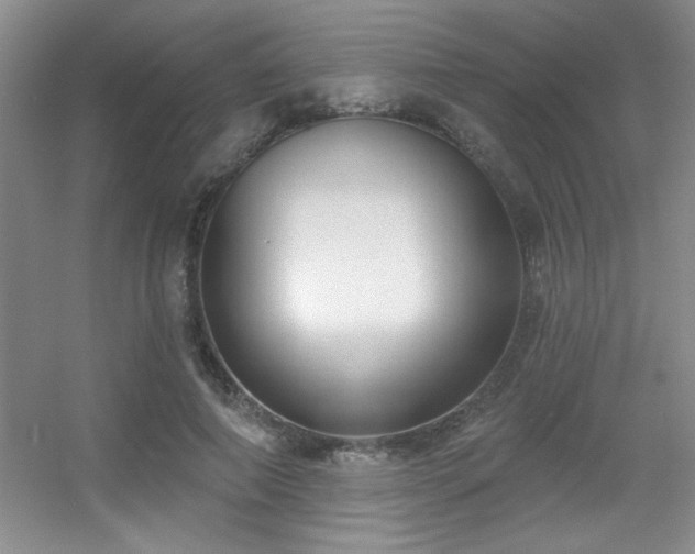 X0000056010690200508221455