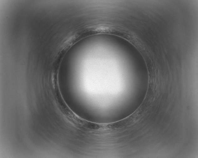 X0000056010696200508221455