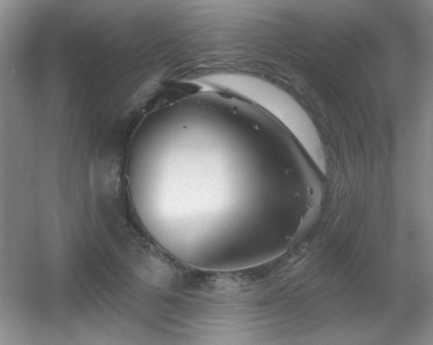 X0000056010697200508221455