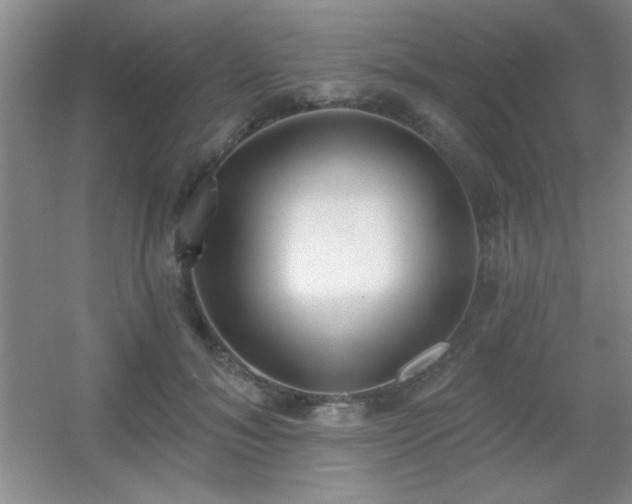X0000056010700200508221455